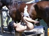 Slut fucked by horse
