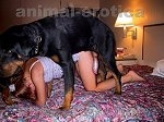 Teen fucked huge dog