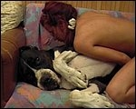 Fuck and licks dog