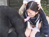 Asian sucking by dog