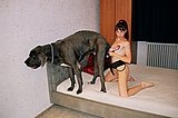 Nice babe suck a dog cock