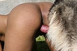 Sexy girl fucking big dog