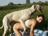 Amateur fucked by dog