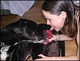 Nice teen licking dogdick