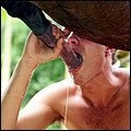 Gay blowjob horse for cum