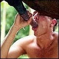 Gay sucking horse for cum