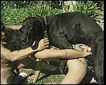 Hot latina fucked by dog