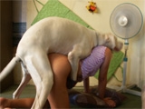 Teen fucked hard by dog