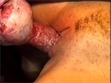 Wife fucked by dog cock