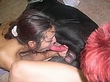 Two chick lick a dog cock