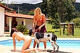 Dog is fucks her pussy