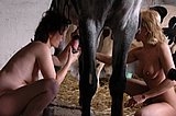 Two girls licking horse