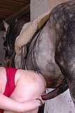 Fat blonde fucks by horse