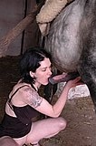 Babe sucking horse cock