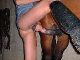Whore sucking horse cock