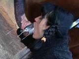 Babe sucking horse cock