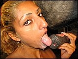 Cute girl suck horse dick