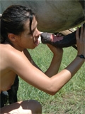 Slut sucks horse for cum