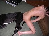 Girl gets fucked by a dog
