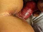 Dog cock fucks girl pussy