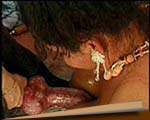 Brazilian girl fuck dog